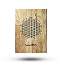 Влагостойкий динамик с декоративной дубовой сеткой Steam&Water SW 525 Wood Corner для бани и сауны