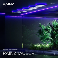 Туннель впечатлений Rainz TAUBER