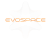 ЭВОСПЕЙС (EVOSPACE) ЭВОСПЕЙС (EVOSPACE)